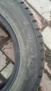 Dunlop Winter Maxx WM01. ������, ����������, 10�%, 4 ��