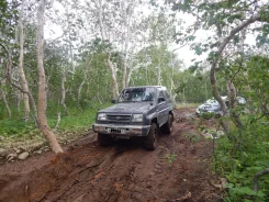 Daihatsu Rocky. F300C, XDE ����