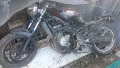 Suzuki GSF 250 Bandit ����