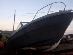 Yamaha F-24. 1990 ���, ��������� ���������, ������ ����