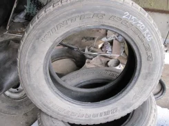 Bridgestone Winter Dueler DM-01. ������, ��� �����, �/�, ����� 70�% ����