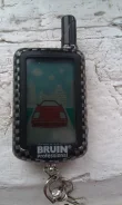 Bruin. ����