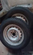 Medeo All season. ������, 2012 ���, 40�%, 2 ��