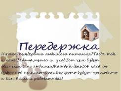 Передержка животных.