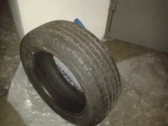 ����. ������, 2010 ���, 5�%, 5 ��