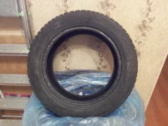 Barum Norpolaris. ������, ��� �����, 2011 ���, 60�%, 4 ��