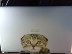 Acer Aspire V5-571G. 1,6����, ��� 6 ��, ���� 500���, WiFi, Bluetooth, ����������� �� 4��.