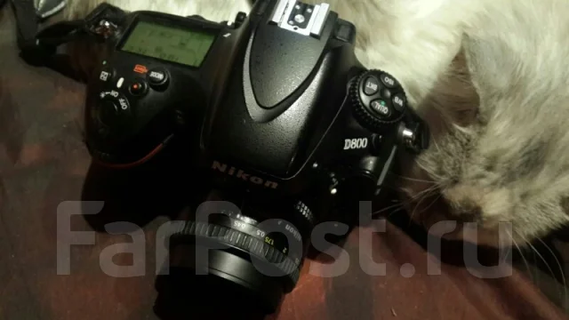 Nikon D800. 20 � ����� ��, ���: ��� ���� ����