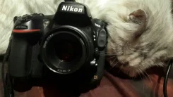 Nikon D800. 20 � ����� ��, ���: ��� ���� ����