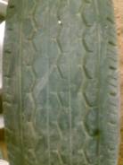 Bridgestone RD613 Steel. Летние, износ: 70%, 1 шт