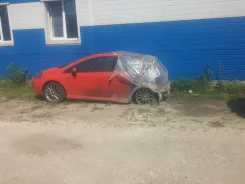 Fiat Punto ����