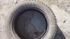 Federal Himalaya Inverno. ������, ����������, 2013 ���, 5�%, 4 ��
