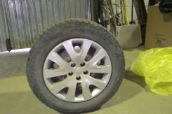 Continental VancoViking. ������, ����������, �/�, ����� 60�%