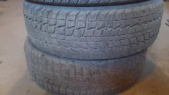 Federal Himalaya WS2. ������, ��� ����, 2010 ���, �/�, ����� 70�%