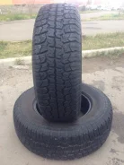 Amtel Rapid river. �����������, 2015 ���, ����� ����