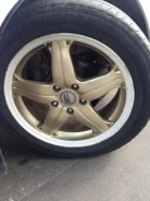 A-Tech Schneider. x17"