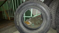 Toyo Observe GP4. ������, ��� �����, �/�, ����� 20�%