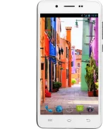 Jinga Basco L1. ����� ����