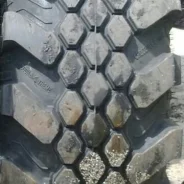 Superstone Crocodile Xtreme. ����� mt, ����� ����