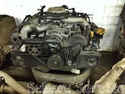 ��������� EJ253 (� ����� / �����) ����
