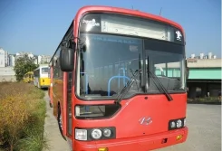 Hyundai Aero City 540 ����