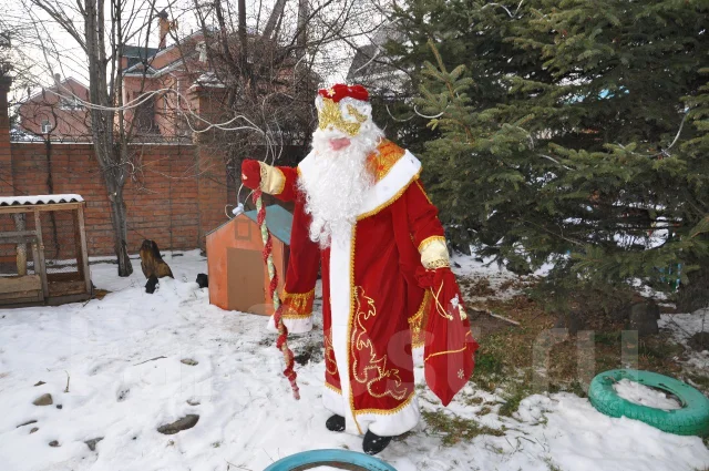Новогодние Утренник Деда Мороза