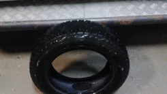 Kingstar. ������, ����������, �/�, ����� 5�% ����