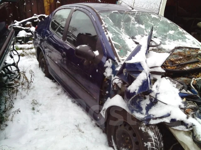 Peugeot 206 ����