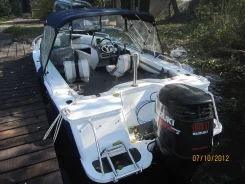 Freedom. 2008 ���, ��������� ���������, ������ ����