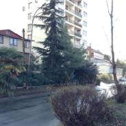 4-комнатная, пер.Волжский 57\1. центральный, частное лицо, 267 кв. м.