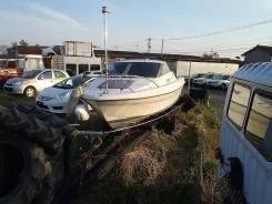 Yamaha LS. 1995 ���, ��������� ���������, ������ ����