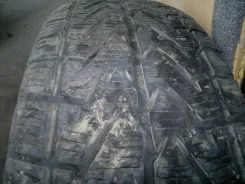 Superstone Crocodile Xtreme. ������, 2008 ���, �/�, ����� 40�% ����
