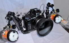 Olympus E-520. 10 - 14.9 ��, ���: 3� ����