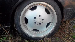 Ace. x17" ����