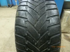 Dunlop SP 50. ������, ��� �����, 2011 ���, 40�%, 1 ��