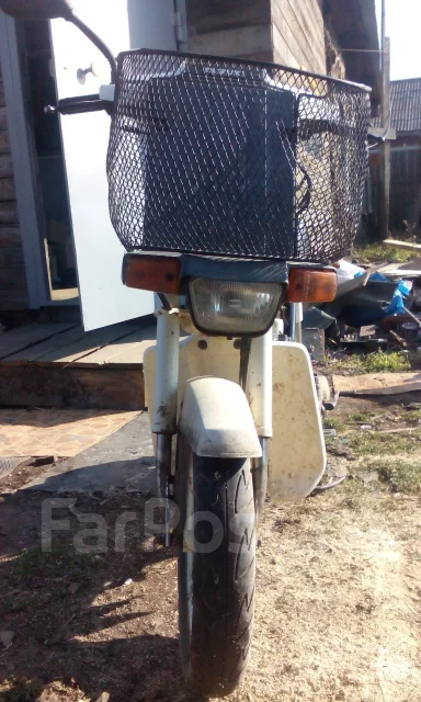 Suzuki Mollet. 49����. ��., ��������, ���������, ������ �� �� ����