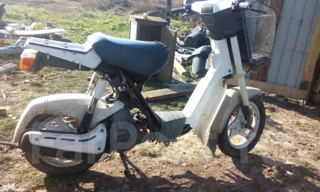 Suzuki Mollet. 49����. ��., ��������, ���������, ������ �� �� ����