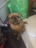 �������. ����