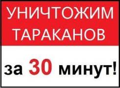 Уничтожение насекомых.