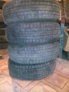 Gremax Max STR. ������, ����������, 2010 ���, 10�%, 4 ��