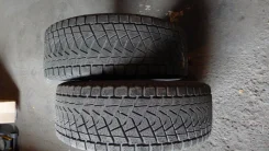 Bridgestone Blizzak LM-30. ������, ��� �����, �/�, ����� 50�% ����