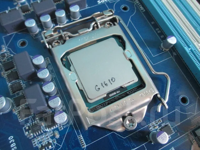 Intel Celeron G1610 ����