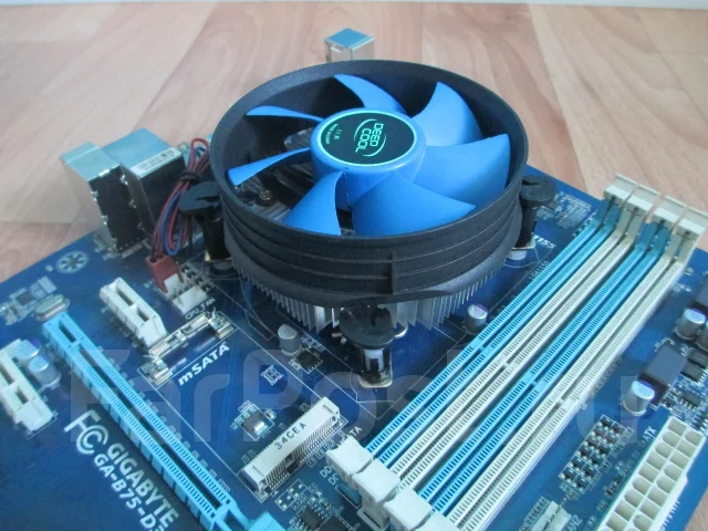 Intel Celeron G1610 ����