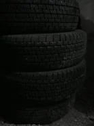 Eurotec SnowWolf. ������, ��� �����, 30�%, 4 ��