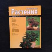 Комнатные растения (мел)