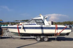 Yamaha FR-26. 1994 ���, ��������� ���������, ������ ����