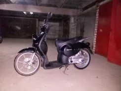 Stels Alpha 50. 70����. ��., ��������, ��� ���, � �������� ����