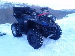 Yamaha Wolverine 450. ��������, ��, �� ����