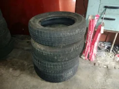 Maxtrek. ������, ��� �����, �/�, ����� 5�% ����