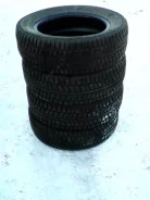 Dunlop Winter Maxx WM01. ������, ����������, 2014 ���, 20�%, 4 ��